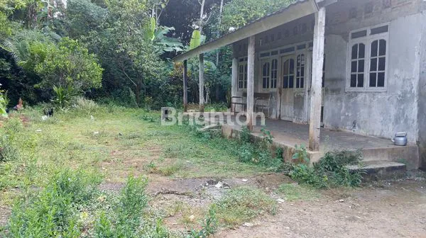 image TANAH LUAS 823M DAN MURAH SUSUKAN KAB SEMARANG  (3)