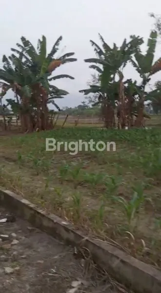 image TANAH TANJUNG MORAWA (7)