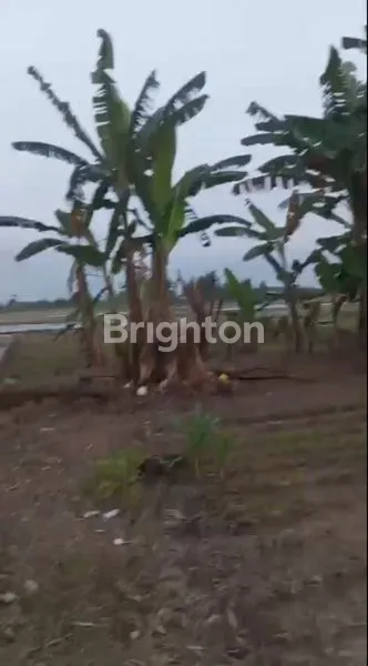 image TANAH TANJUNG MORAWA (5)