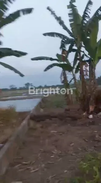 image TANAH TANJUNG MORAWA (4)