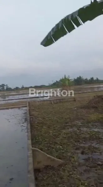 image TANAH TANJUNG MORAWA (3)