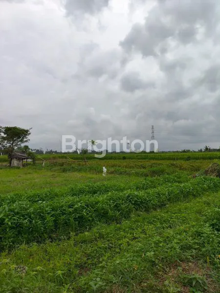 image KAVLING EMAS BADUNG, VIEW SAWAH & AKSES MUDAH HANYA 400JUTA-AN (1)