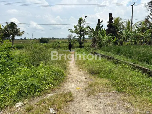 image KAVLING EMAS BADUNG, VIEW SAWAH & AKSES MUDAH HANYA 400JUTA-AN (7)