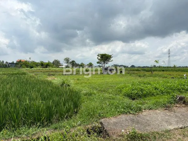 image KAVLING EMAS BADUNG, VIEW SAWAH & AKSES MUDAH HANYA 400JUTA-AN (6)