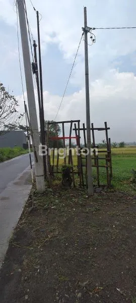 image TANAH LUAS 2269M2 DI WENDIT MALANG (1)