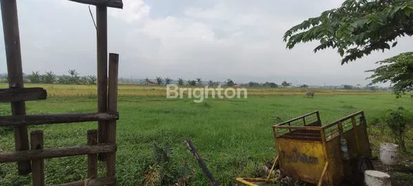 image TANAH LUAS 2269M2 DI WENDIT MALANG (2)