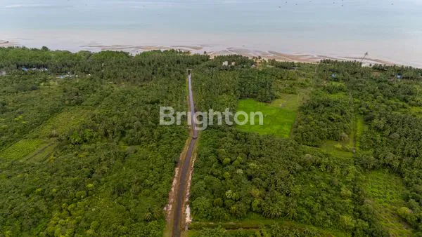 image TANAH PINGGIR PANTAI TANJUNG JUMLAI PPU, SHM, STRATEGIS (8)