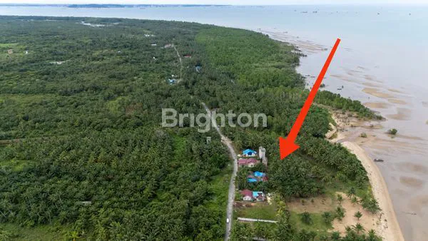 image TANAH PINGGIR PANTAI TANJUNG JUMLAI PPU, SHM, STRATEGIS (6)