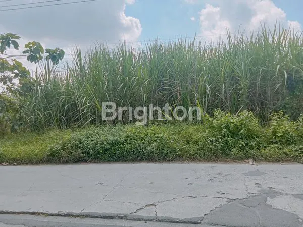 image TANAH STRATEGIS 582M² SHM, IZIN IPPT, HARGA NEGO (3)