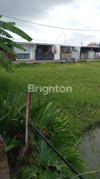 image TANAH 10 ARE PEDUNGAN (3)