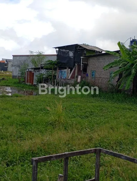 image TANAH 10 ARE PEDUNGAN (4)