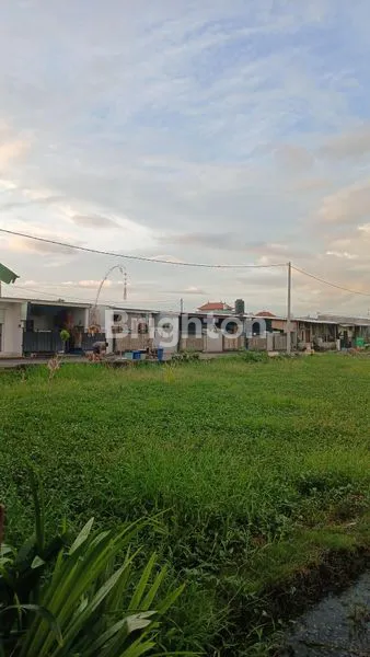 image TANAH 10 ARE PEDUNGAN (2)