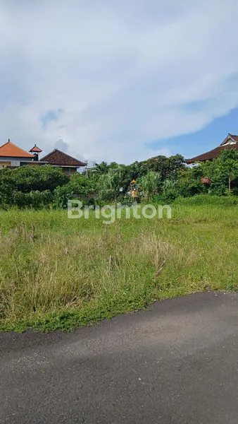 image SEWA TANAH 10 ARE, SHM, AKSES MUDAH & VIEW SAWAH (4)