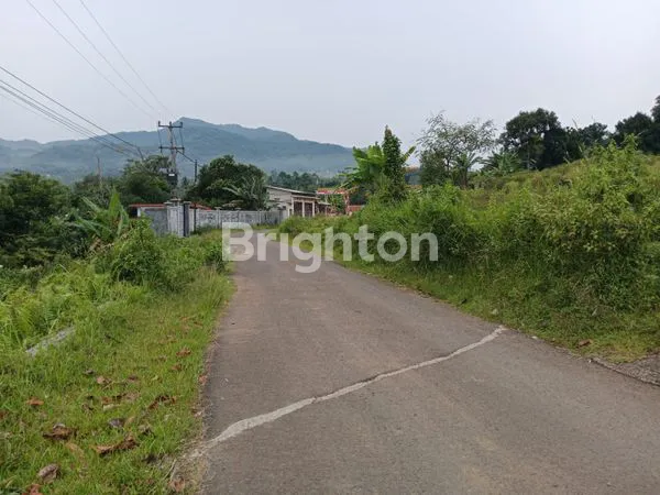 image TANAH LUAS 5000M² DI NANGGUNG BOGOR, 2 SHM (2)