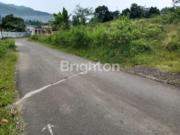 TANAH LUAS 5000M² DI NANGGUNG BOGOR, 2 SHM