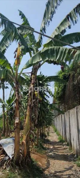 image LAHAN PRODUKTIF 2,1 HA DEKAT TOL CIGOMBONG SUKABUMI.\N (4)