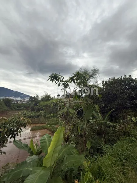 image LAHAN PRODUKTIF 2,1 HA DEKAT TOL CIGOMBONG SUKABUMI.\N (7)