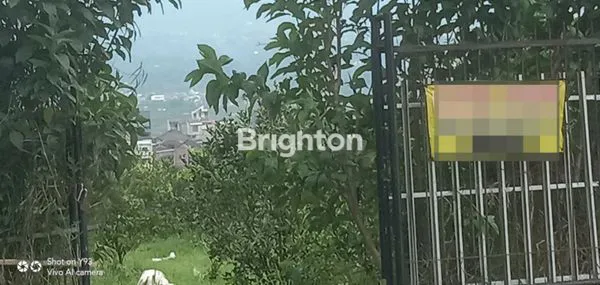 image KEBON JERUK SIAP PANEN (1)