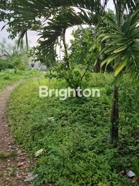 image DIJUAL TANAH KEBUN DI  TAJUR HALANG \NKOMPLEX INKOPAD - BOGOR (2)