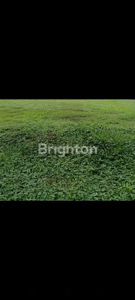 Gambar Property TANAH, AREA INDUSTRI BERKEMBANG