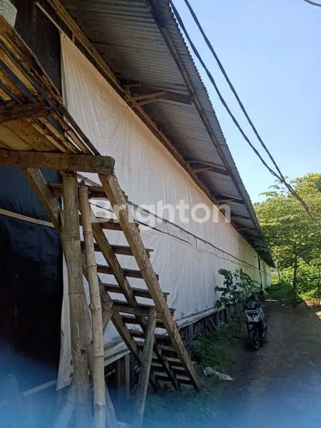 image DIJUAL KANDANG AYAM (2)