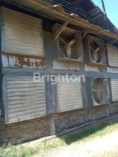image DIJUAL KANDANG AYAM (3)