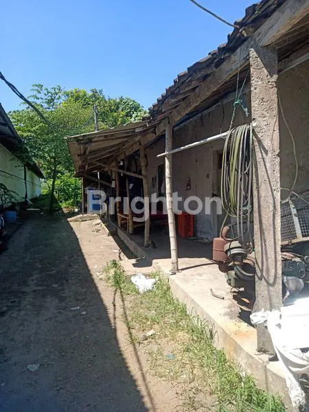 image DIJUAL KANDANG AYAM (1)