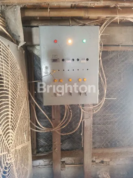 image DIJUAL KANDANG AYAM (6)