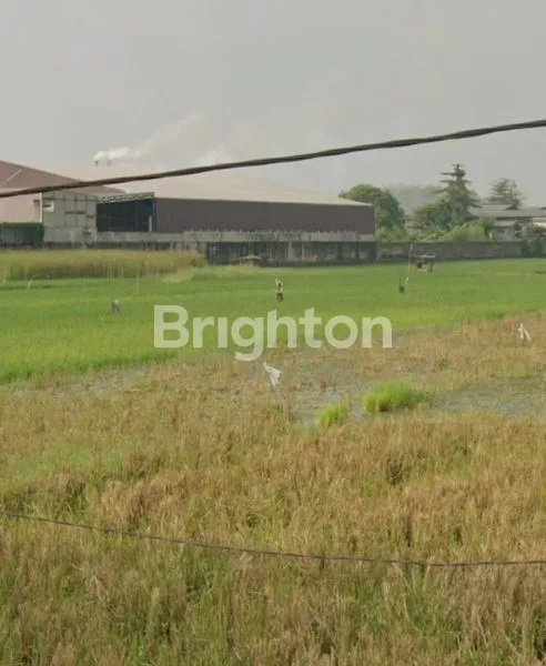 image TANAH WRINGIN ANOM GRESIK SIAP BANGUN (2)