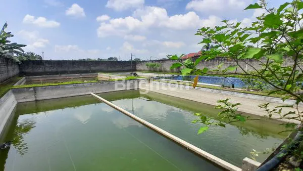 image DIJUAL RUMAH BAGUS LUAS. KOKOH DAN TERAWAT. BONUS KOLAM IKAN. PARKIR LUAS. (7)