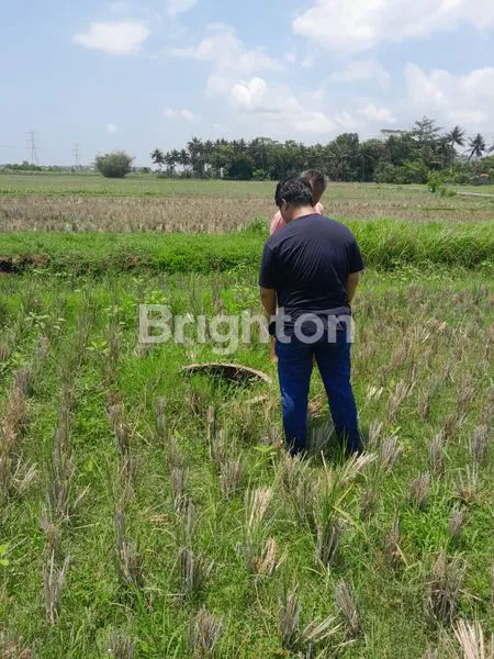image TANAH SAWAH DEKAT BANDARA YIA (4)