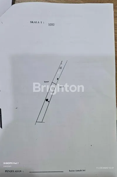 image TANAH SAWAH AREA KEBONREJO TEMON KULONPROGO (6)