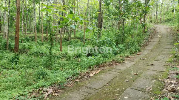 image TANAH TEGAL VIEW GUNUNG & DEKAT WISATA HEHA GUNUNG KIDUL (5)