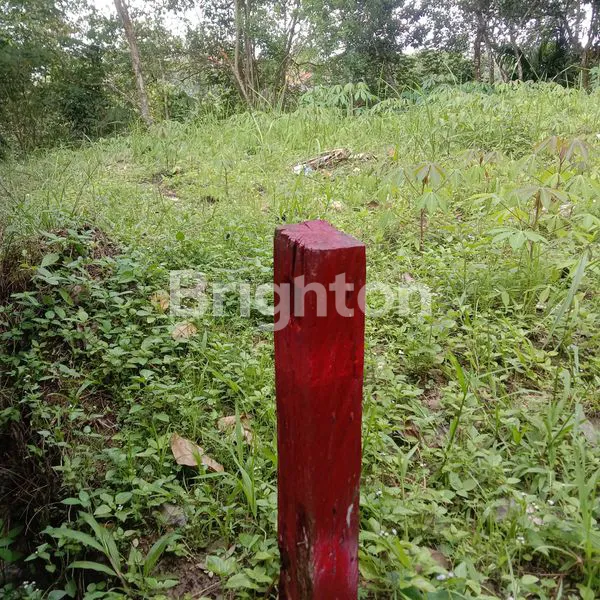 image LAHAN SIAP BANGUN DEKAT ITK, AKSES JALAN BAGUS (5)