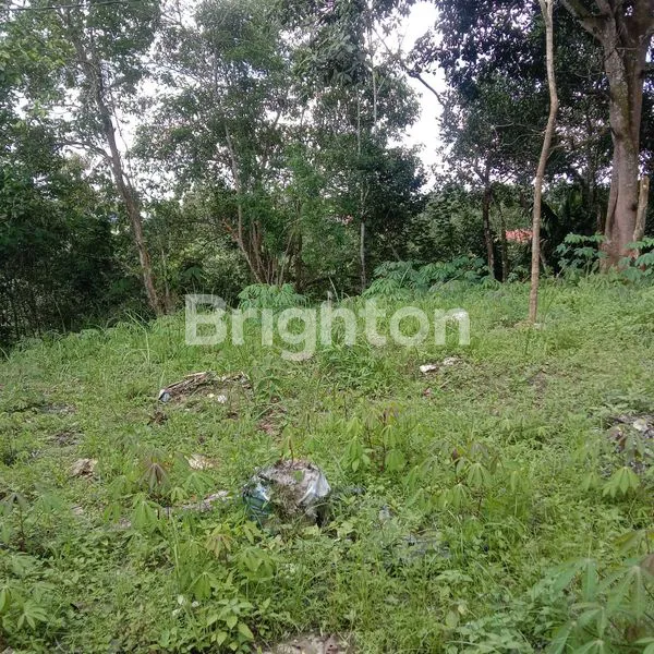 image LAHAN SIAP BANGUN DEKAT ITK, AKSES JALAN BAGUS (6)