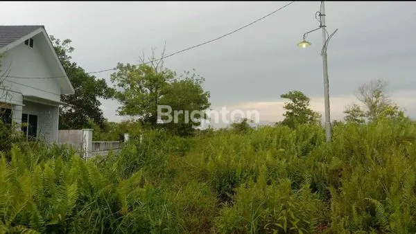 image LAHAN TANAH KAVLING LOKASI KOMERSIL GANG DISBUN 1 PARIS 2 (5)