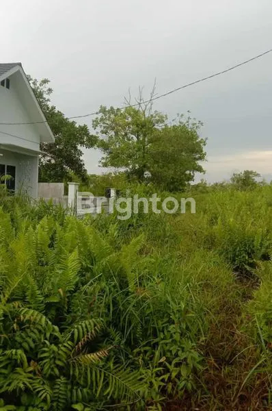 image LAHAN TANAH KAVLING LOKASI KOMERSIL GANG DISBUN 1 PARIS 2 (4)