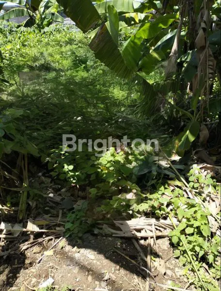 image TANAH SIAP HUNI DI NUSA DUA, DEKAT AKSES UTAMA (1)