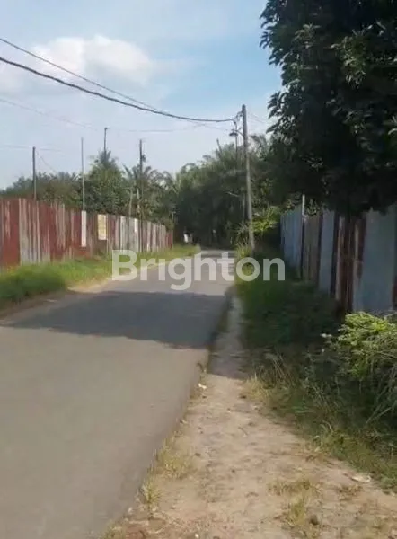 image TANAH LUAS 9.700 M² DI DELI SERDANG – BONUS RUMAH & DURIAN PRODUKSI (7)