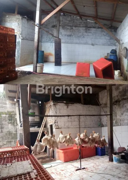 GUDANG EX AREA PETERNAKAN DI NGEMBAL DUSUN KRAJAN PASURUAN