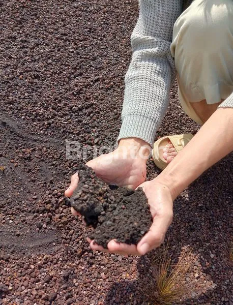 image LAHAN AREA PERTAMBANGAN BIJI BESI & BATU BARA WILAYAH MIRAH, KATINGAN TENGAH, KALIMANTAN TENGAH (3)