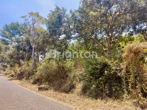 image TANAH PERKEBUNAN DI NGEMBAL DUSUN KRAJAN PASURUAN DEKAT DENGAN WISATA BAKTI ALAM (1)