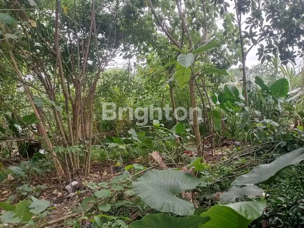 image LAHAN STRATEGIS 4000M² DI RUMPIN, AKSES TOL & STASIUN (3)