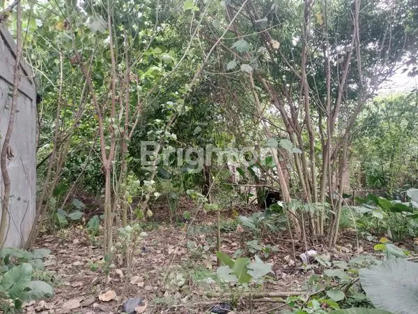 image LAHAN STRATEGIS 4000M² DI RUMPIN, AKSES TOL & STASIUN (4)