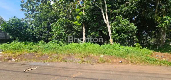 image TANAH LUAS 1.737M² DI UNGARAN TIMUR, SHM SIAP BANGUN (3)