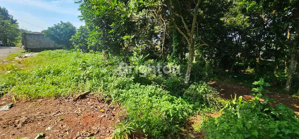 image TANAH LUAS 1.737M² DI UNGARAN TIMUR, SHM SIAP BANGUN (1)