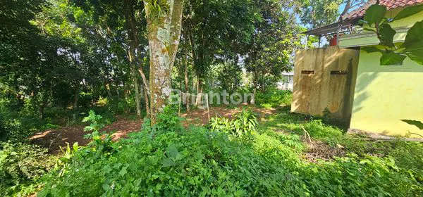 image TANAH LUAS 1.737M² DI UNGARAN TIMUR, SHM SIAP BANGUN (2)