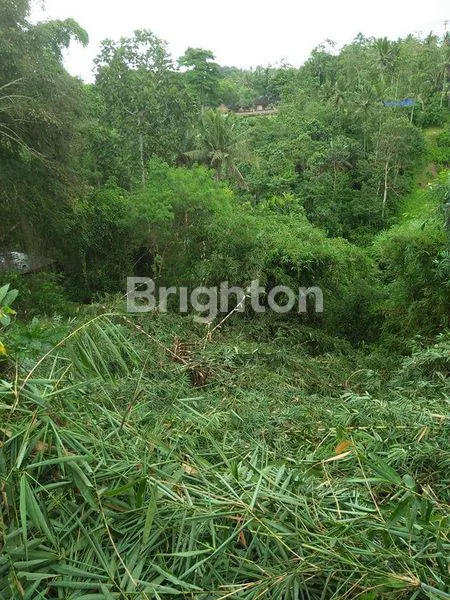 image TANAH  DI JUAL  DI UBUD PEJENG (5)