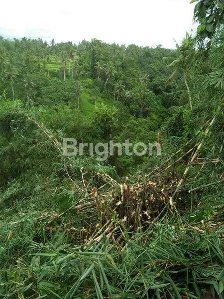 image TANAH  DI JUAL  DI UBUD PEJENG (6)