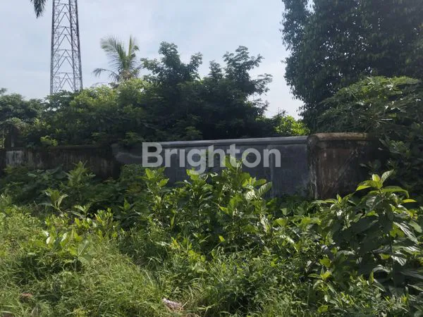 INVESTASI STRATEGIS! TANAH 3.990 M² JALAN RAYA KEDIRI–BLITAR, PULE